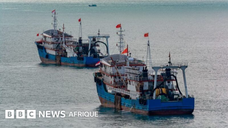 20 % de la pêche illicite mondiale concentrés dans leurs eaux : le plan d&rsquo;action déployé par sept pays ouest-africains