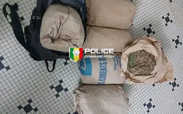 Lutte contre le trafic de drogue à Ziguinchor : Saisie de 6 kg de chanvre indien sur l&rsquo;axe Sindian-Bignona