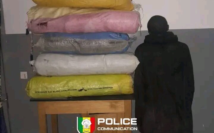 Sédhiou : Saisie de 56 kg de chanvre indien par la BRS