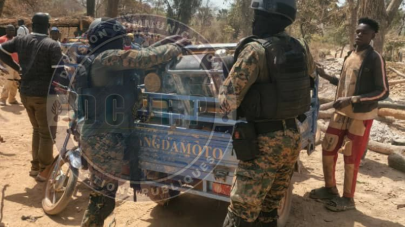 Offensive de la gendarmerie à Kédougou : la destruction des sites clandestins fait tomber un réseau de traite