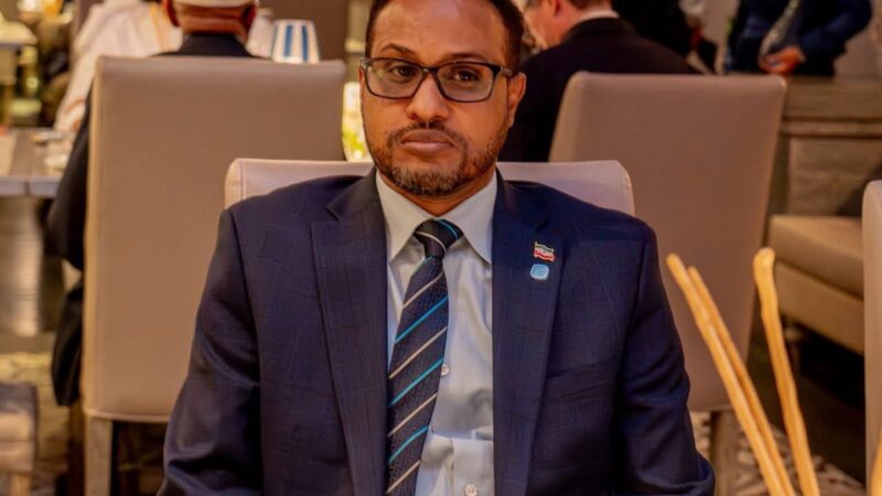 Somaliland-Israël : un premier ambassadeur nommé sur fond de controverse
