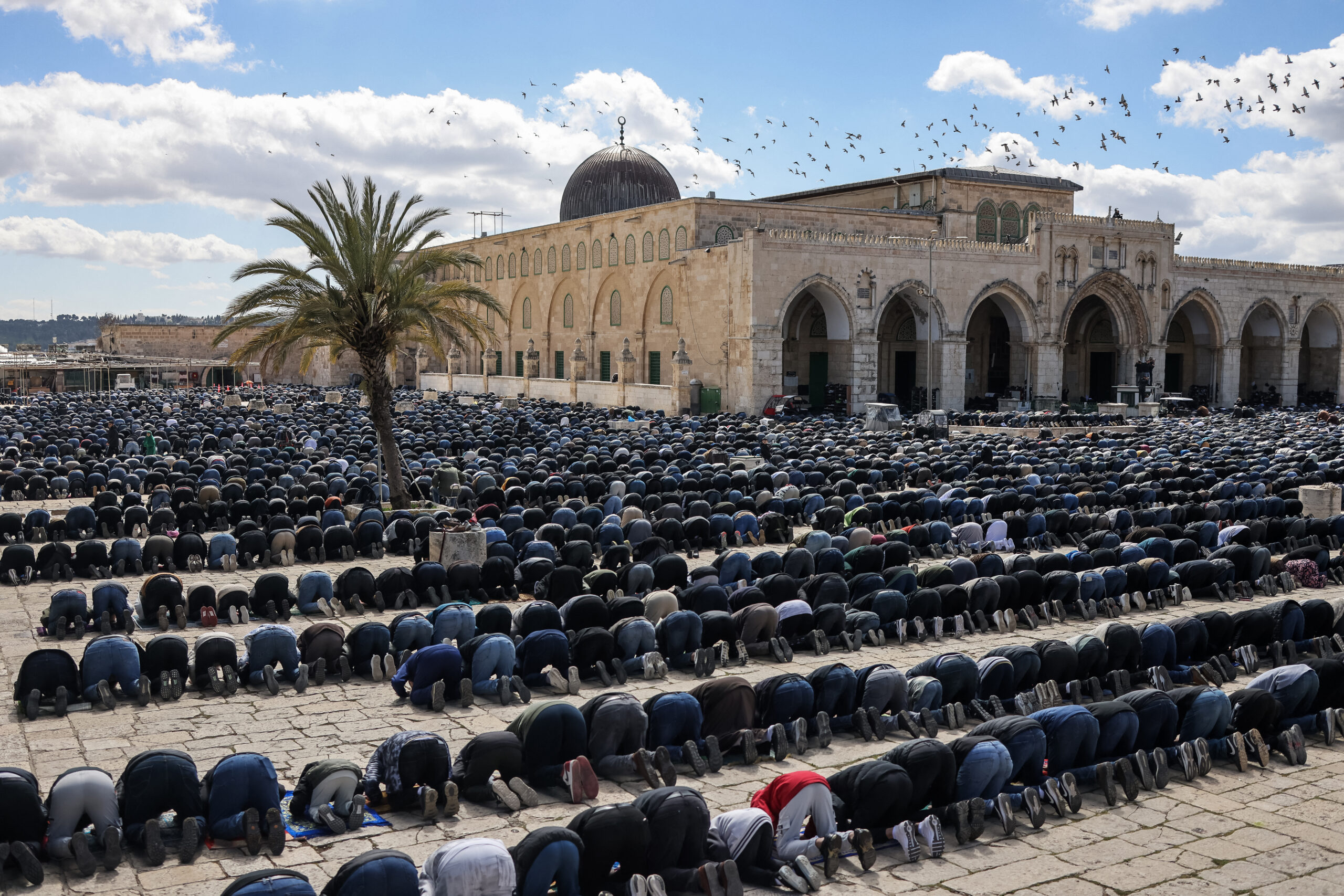 Palestine : 10 000 permis accordés par Israël, mais un tout autre bilan enregistré à Al-Aqsa pour ce deuxième vendredi.