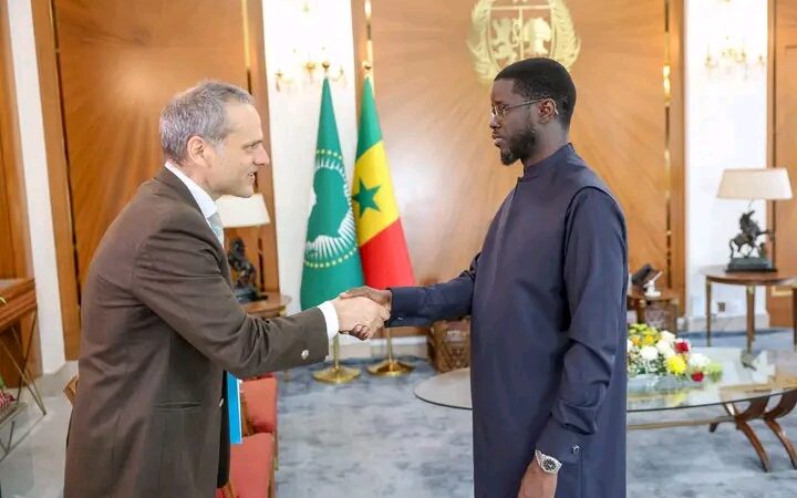 Énergie : Bassirou Diomaye Faye reçoit le DG de TARANIS Energy for Africa