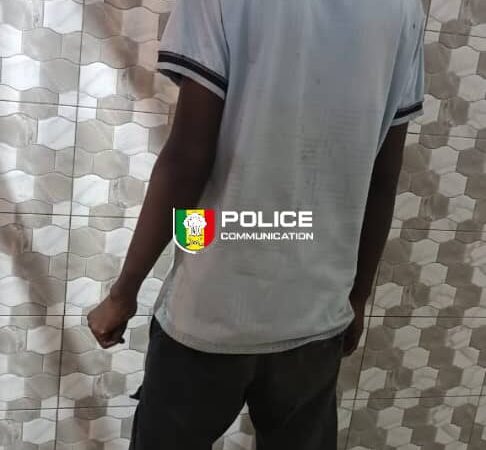 Vol avec violence à Biscuiterie–HLM : un suspect armé interpellé par la police