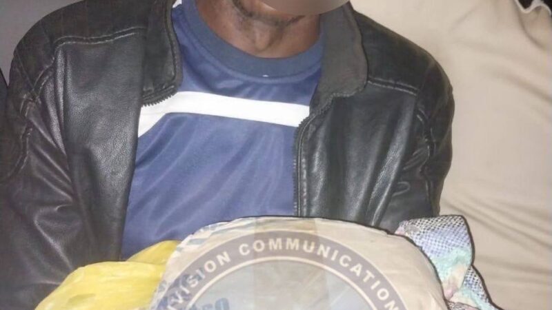 Trafic de chanvre indien démantelé : Plusieurs interpellations et saisies à Samine et Yarang