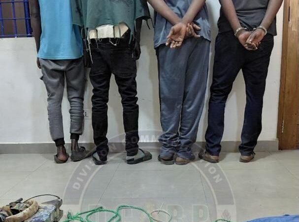 Bantaco et environs : fin de cavale pour un groupe de malfaiteurs …