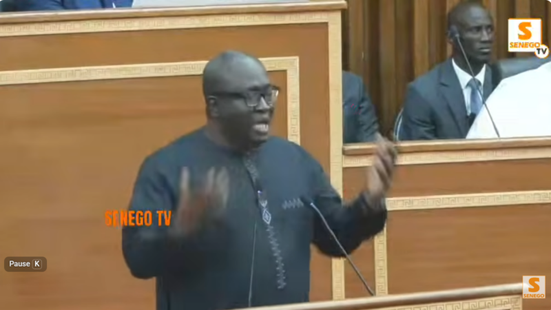 Ayib Daffé salue le PM Sonko : « Le chien aboie et la caravane passe »