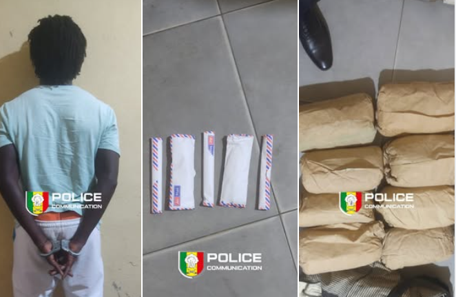 Parcelles Assainies : un individu arrêté avec 8 kg de chanvre indien