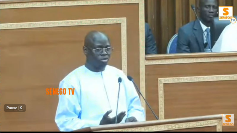 Reprise des discussions avec le FMI : Cheikh Diba rassure les députés (Senego TV)
