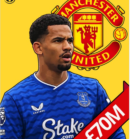 Mercato : Man United en pole pour Iliman Ndiaye, Everton fixe la barre à…