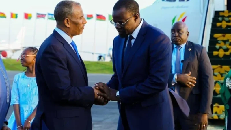 Addis-Abéba: l’avenir de Macky Sall à l’ONU dépend d&rsquo;Ousmane Sonko