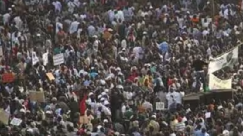 Halte à la Tyrannie de L&rsquo;Ignorance !