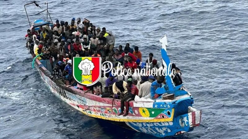 Trafic de migrants : Le cerveau présumé et trois complices arrêtés après l’abandon de 100 migrants à Mbour