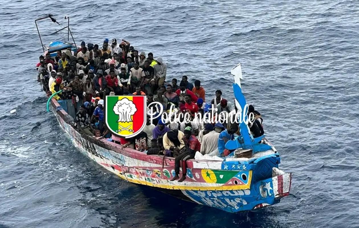 Trafic de migrants : Le cerveau présumé et trois complices arrêtés après l’abandon de 100 migrants à Mbour