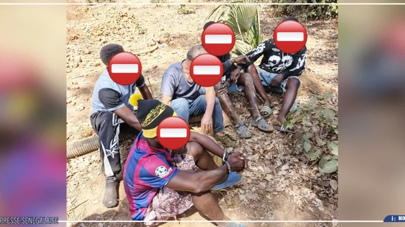 Kédougou : Cinq étrangers arrêtés pour exploitation aurifère illégale dans la zone de la Falémé
