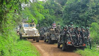 RDC, l&rsquo;Union Africaine réitère son appel à un cessez-le-feu 