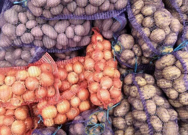 Sénégal : Suspension des ventes de pommes de terre pour les agrobusiness dès le 28 février