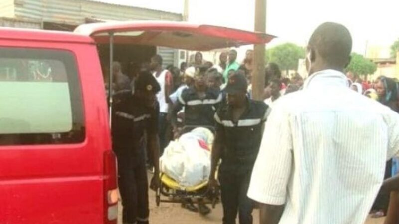 Mbirkilane : Un homme de 42 ans tué par une attaque d’abeilles à Ngouye