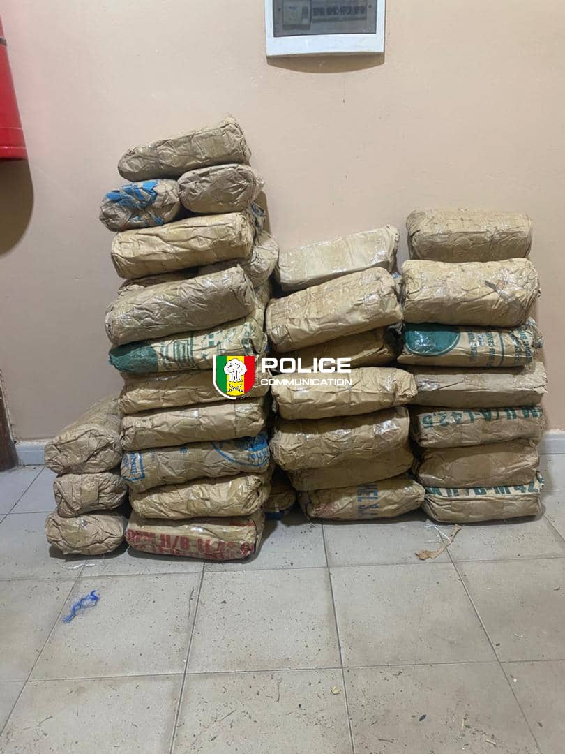 Kaolack : 55 kg de chanvre indien saisis par la Brigade régionale des stupéfiants