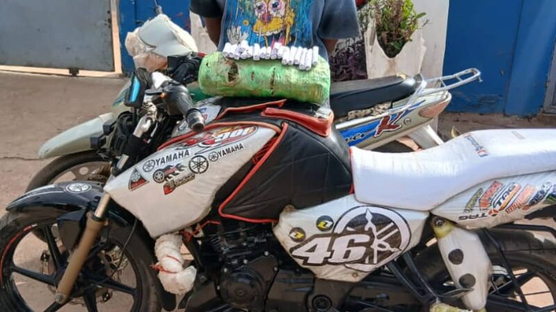 Kolda : 44,1 kg de chanvre indien saisis lors de deux opérations policières