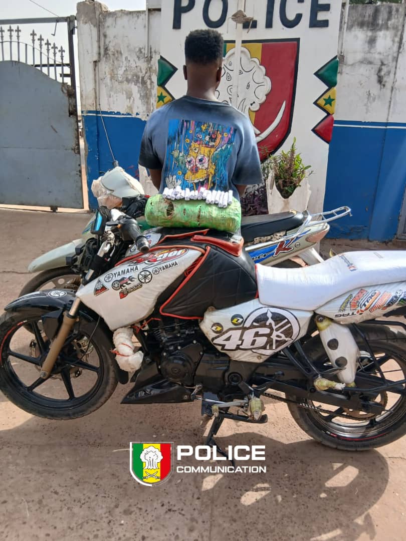 Kolda : 44,1 kg de chanvre indien saisis lors de deux opérations policières