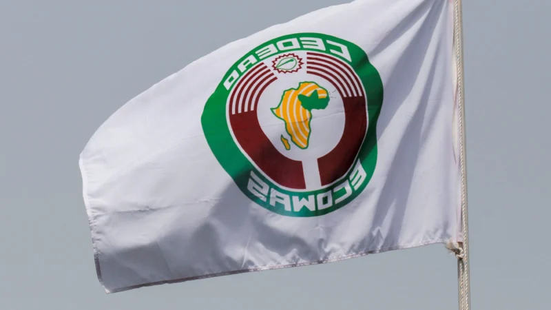 Force ouest-africaine : la CEDEAO sur le sentier de la guerre, entre unité affichée et fractures profondes