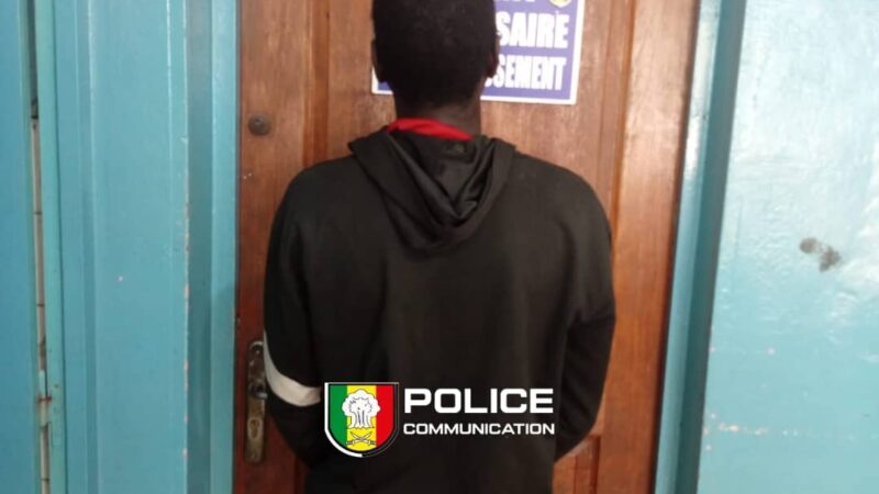 Carfentanil au Sénégal : Une drogue d&rsquo;une puissance inédite saisie pour la première fois