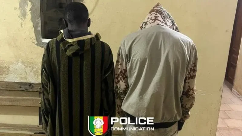 Marché central de Rufisque : l&rsquo;origine de la viande achetée à 15 000 FCFA qui a fait tomber un boucher