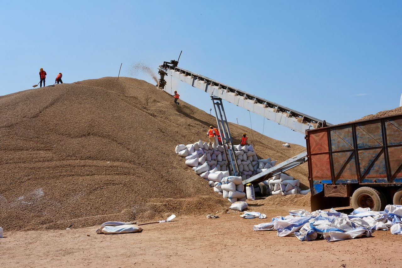 8e producteur mondial d&rsquo;arachide, le Sénégal fait face à une contradiction majeure exposée lors d&rsquo;une rencontre inédite
