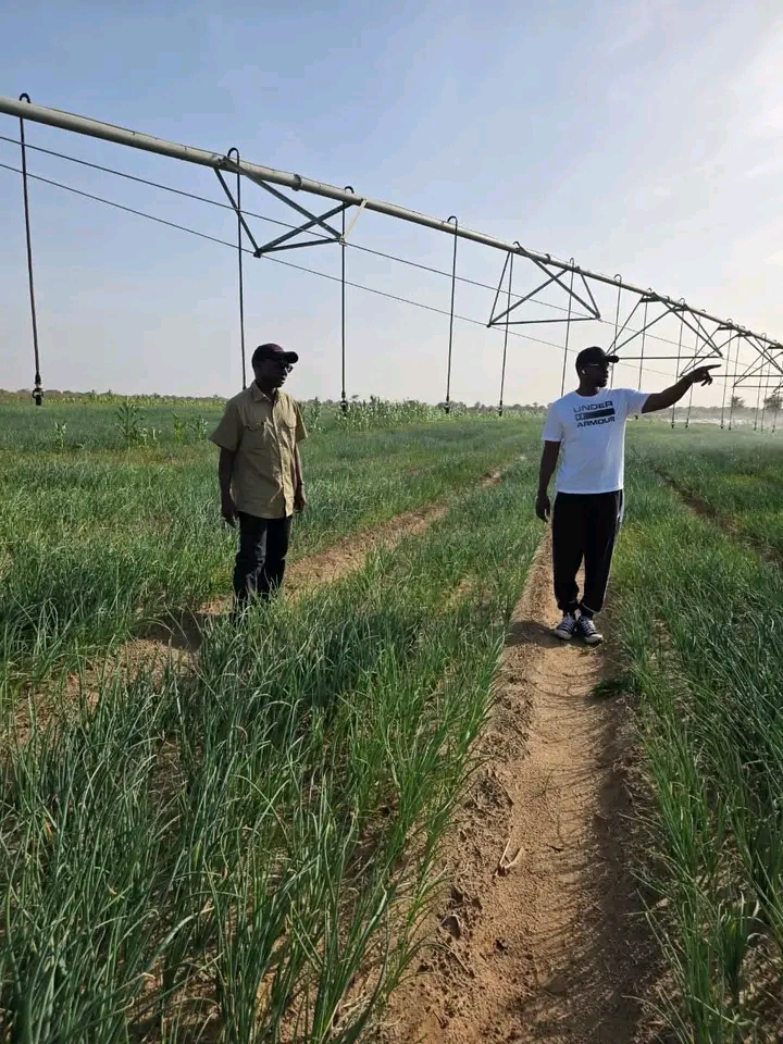 Mabouba Diagne : « j’ai eu le plaisir et l’honneur d’accueillir le Premier ministre, Ousmane Sonko, dans mes exploitations agricoles… »