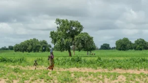 Au-delà des discours du 8 mars : l&rsquo;obstacle structurel qui bloque l&rsquo;émancipation des productrices de Diourbel