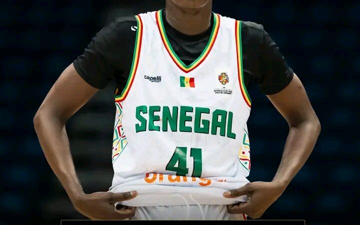 Basket – Nouvelle-Zélande battue : les Lionnes retrouvent leur énergie …