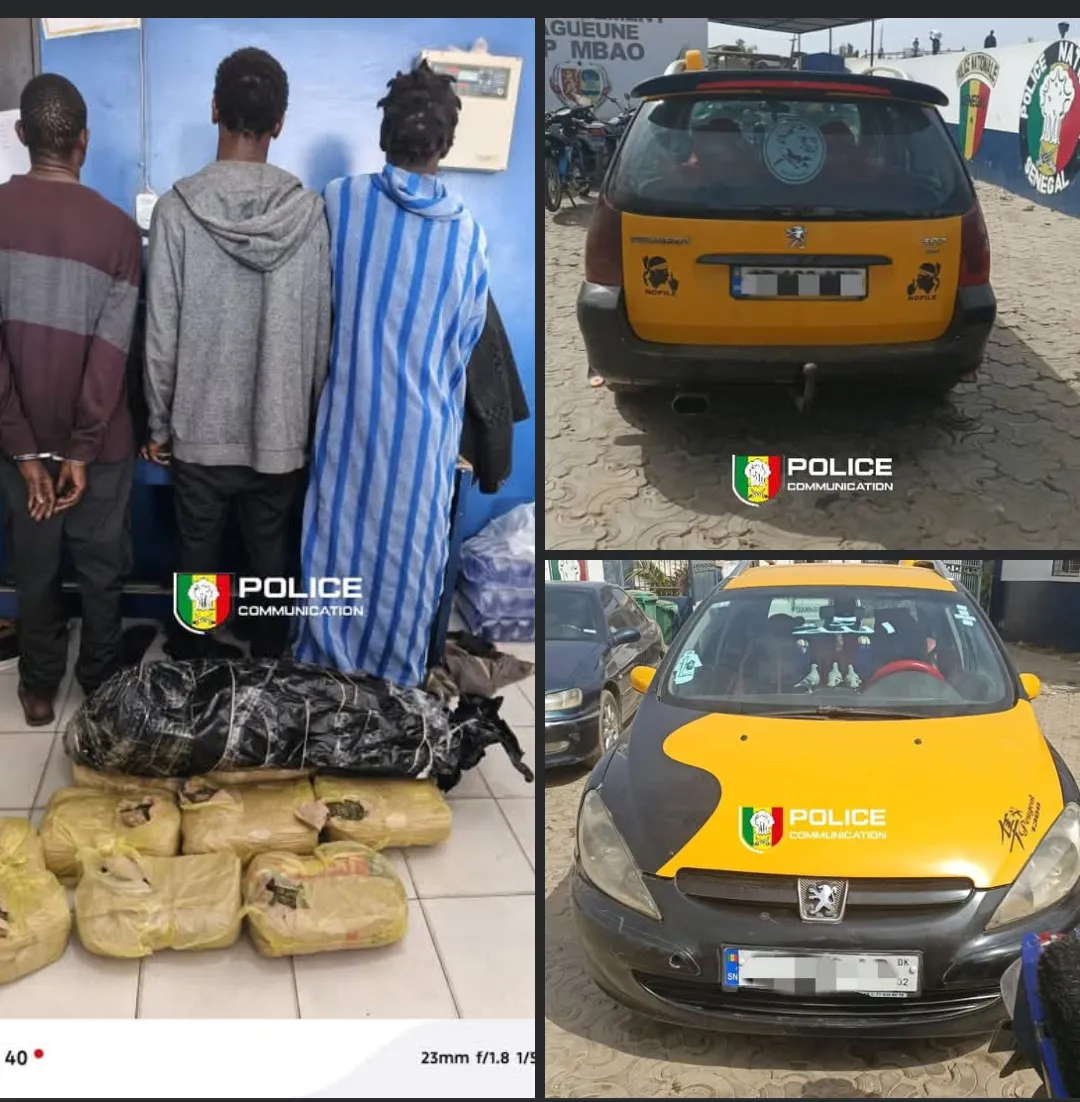 Fouille d’un véhicule de transport à Diamaguène : la découverte qui a conduit trois individus en détention