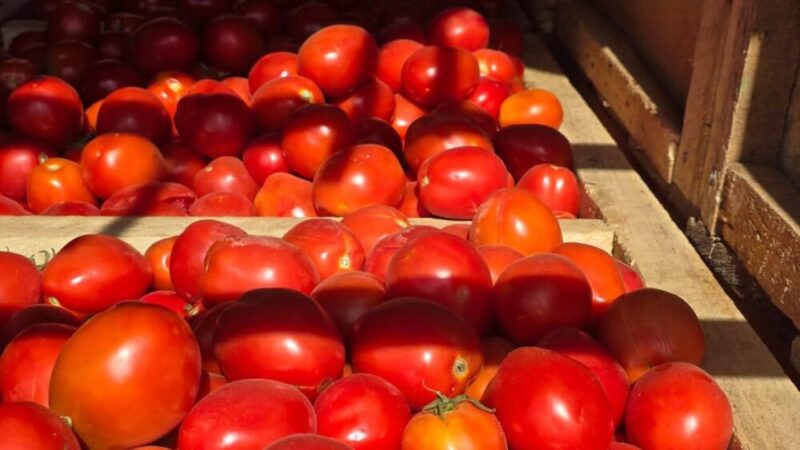 Burkina Faso : la décision drastique du gouvernement pour garantir l&rsquo;approvisionnement de ses usines de transformation