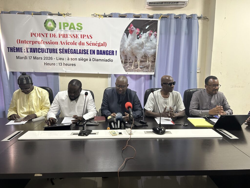 Trafic de « poulets morgue » : l'IPAS dévoile l'ampleur du gouffre financier et active un nouveau levier de riposte