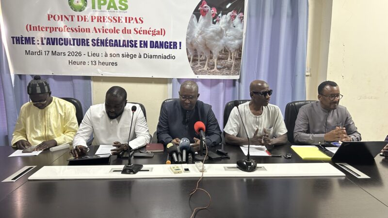 Trafic de « poulets morgue » : l&rsquo;IPAS dévoile l&rsquo;ampleur du gouffre financier et active un nouveau levier de riposte