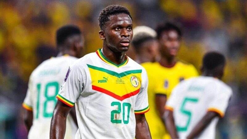 Rassemblement des Lions : la dernière liste dévoile deux nouvelles recrues et entérine un forfait de taille