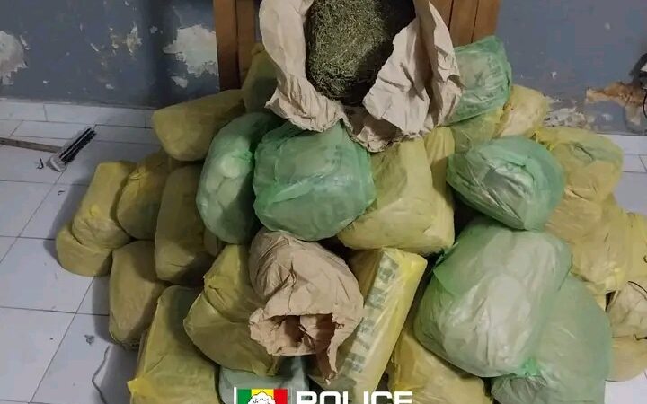 Sédhiou : Importante saisie de 80 kg de chanvre indien par l&rsquo;OCRTIS à la veille de la Korité