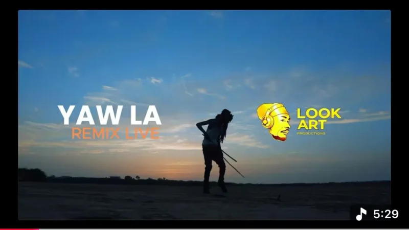 (Vidéo) Succès viral de son titre « Yaw » : le casting particulier choisi par Carlou D pour son nouveau clip