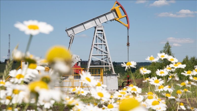 Menace sur le détroit d&rsquo;Ormuz : la démarche de Washington à Téhéran qui fait brusquement chuter les cours du pétrole