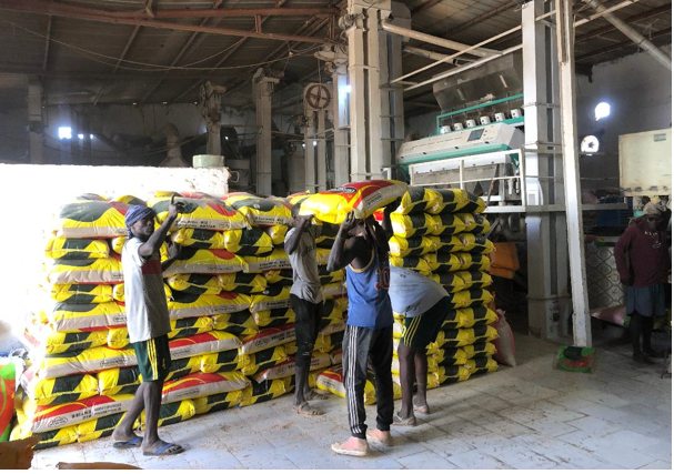 Saint-Louis : le volume massif de récoltes bloquées en entrepôt qui pousse cette filière à alerter le chef de l&rsquo;État