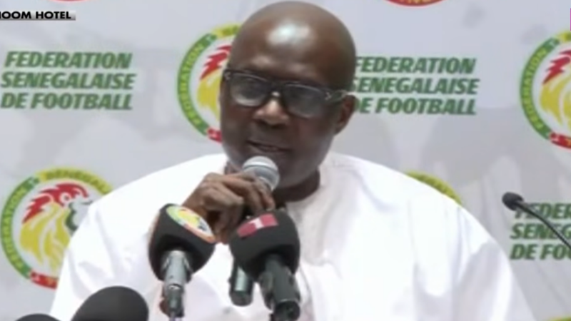 Succès retentissant pour les Lions : plus de 3,3 millions d’euros de recettes engrangés grâce aux matchs amicaux