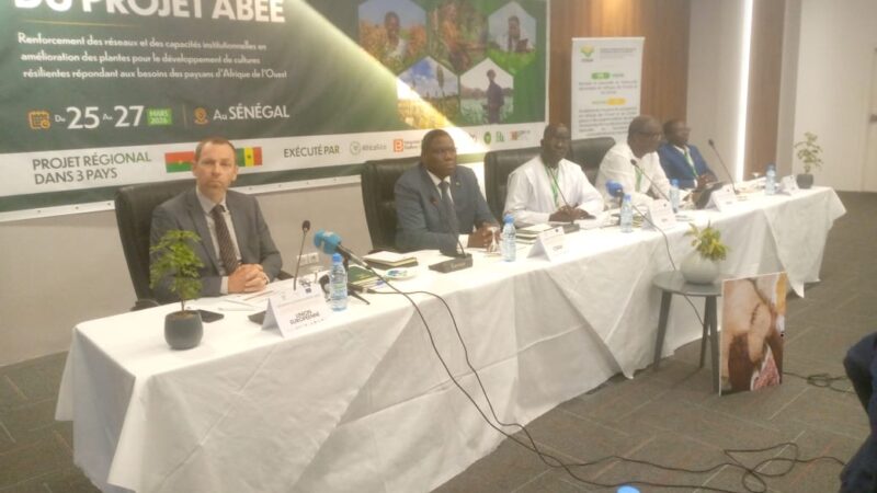 Agriculture : le projet ABEE renforce la sélection variétale au Sénégal, au Niger et au Burkina Faso