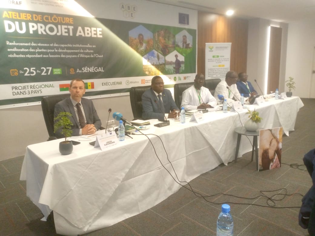Agriculture : le projet ABEE renforce la sélection variétale au Sénégal, au Niger et au Burkina Faso