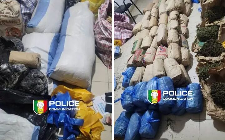 Lutte contre le narcotrafic : Saisie de 108 kg de chanvre indien par la BRS de Dakar à Niacoulrab