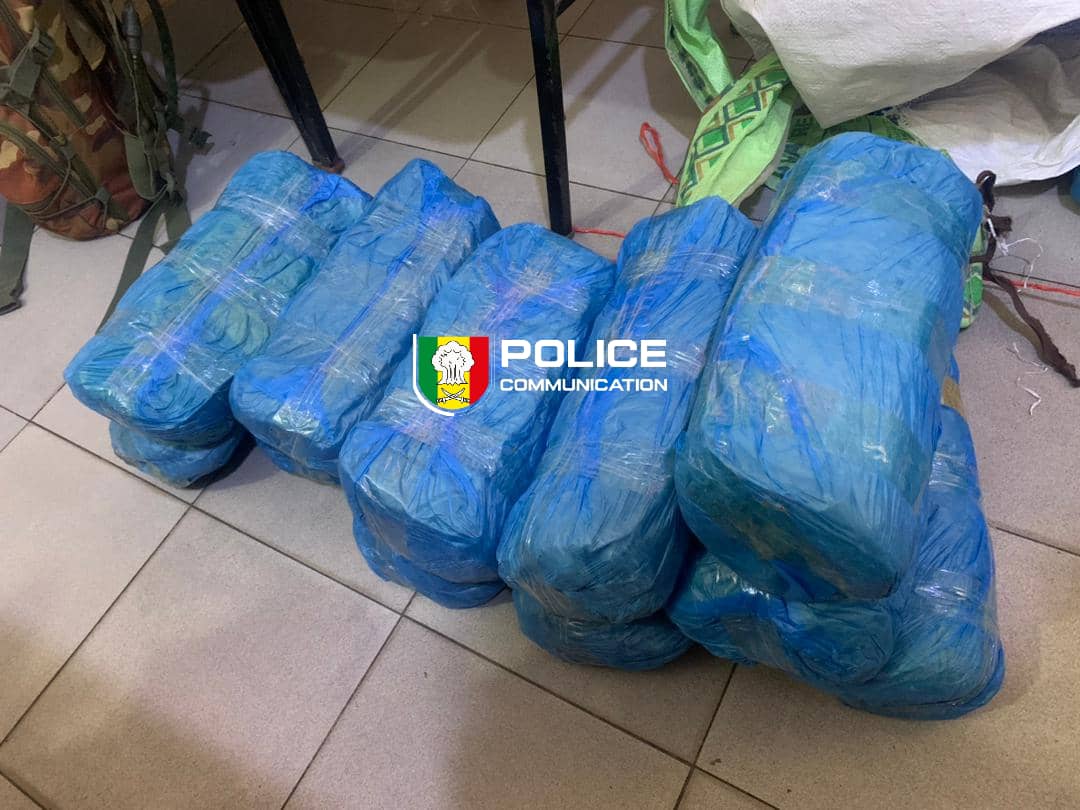 Fatick: 23 kg de drogue découverts en pleine forêt, les trafiquants recherchés…