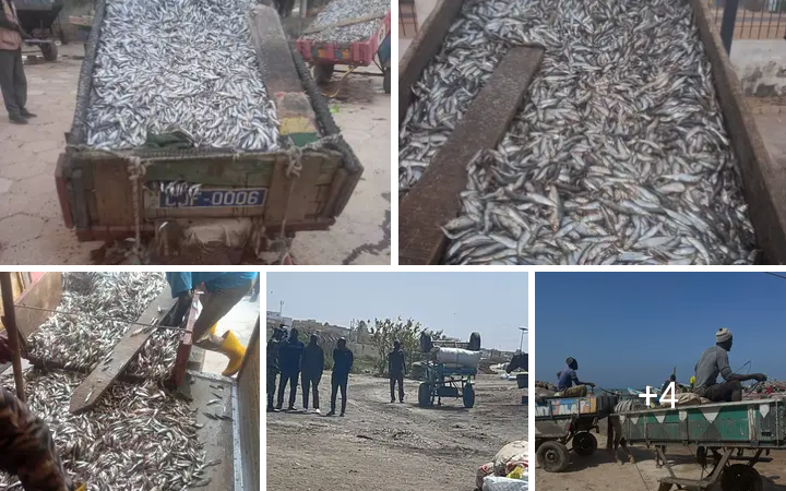 Lutte contre la pêche illégale : Fatou Diouf annonce des saisies majeures et durcit le ton