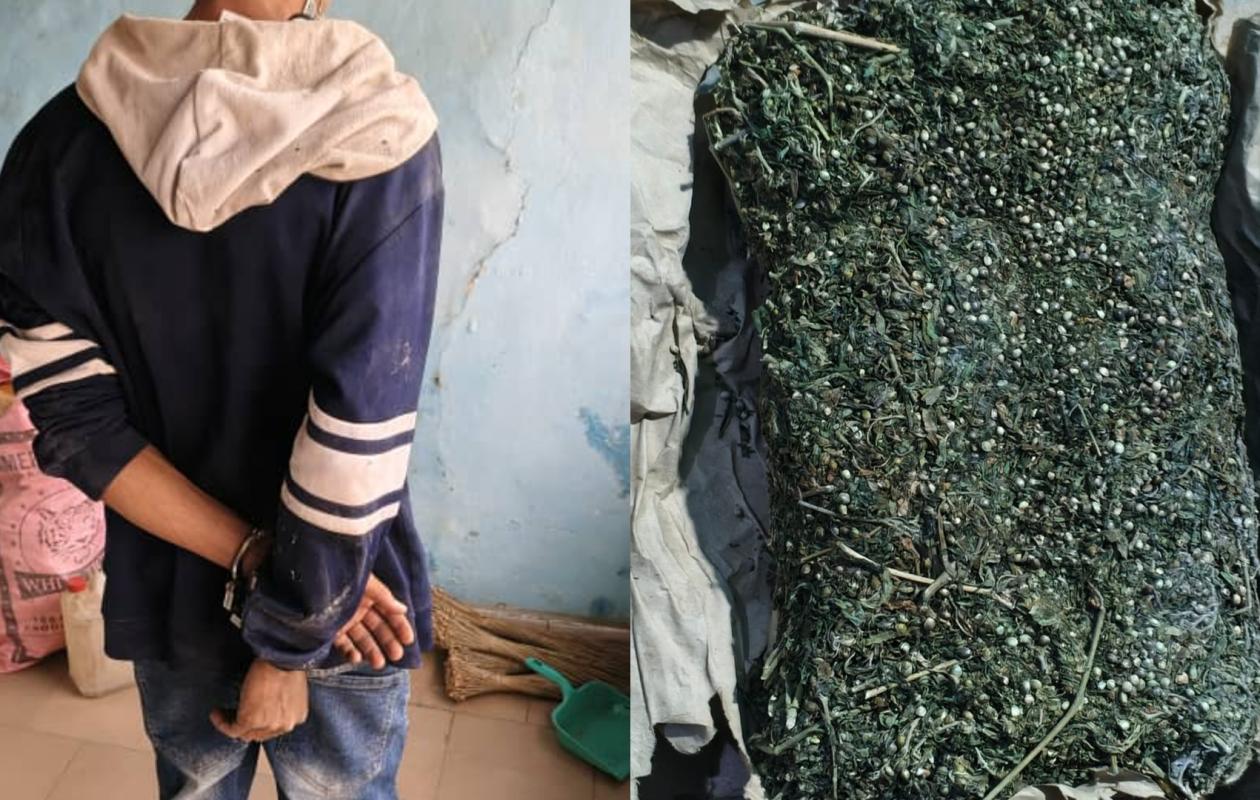 Sédhiou : un étudiant arrêté avec 3 kg de chanvre indien après une course-poursuite