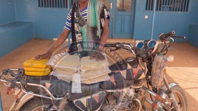 Ranérou – Trafic de drogue : Un individu arrêté avec 11 kg de chanvre indien dans la forêt de Namary