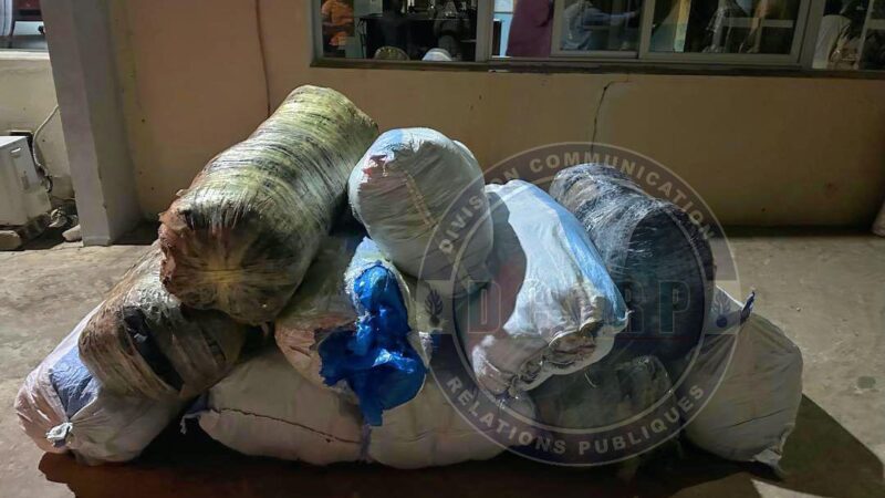 Mbour : Plusieurs arrestations après la saisie de plus de 800 kg de drogue